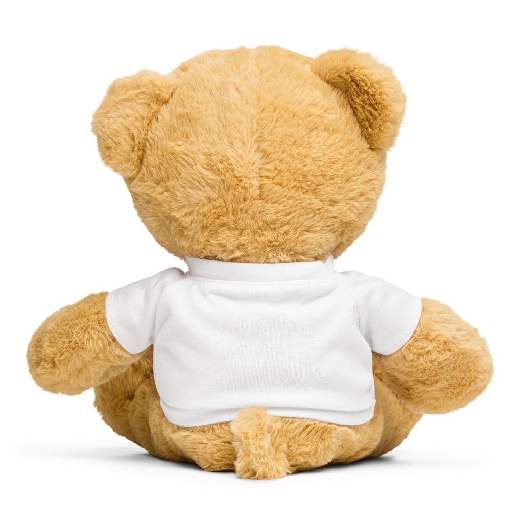 Teddy bear with a t-shirt