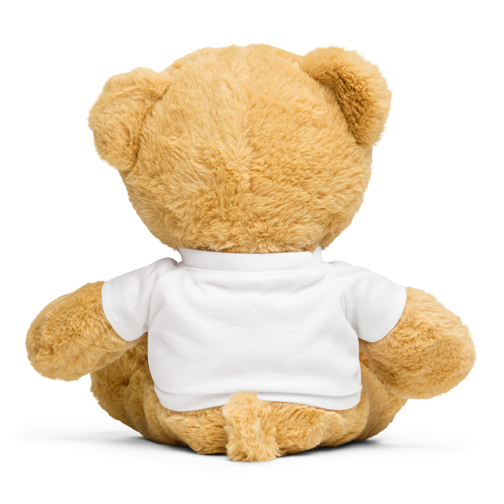 Teddy bear with a t-shirt