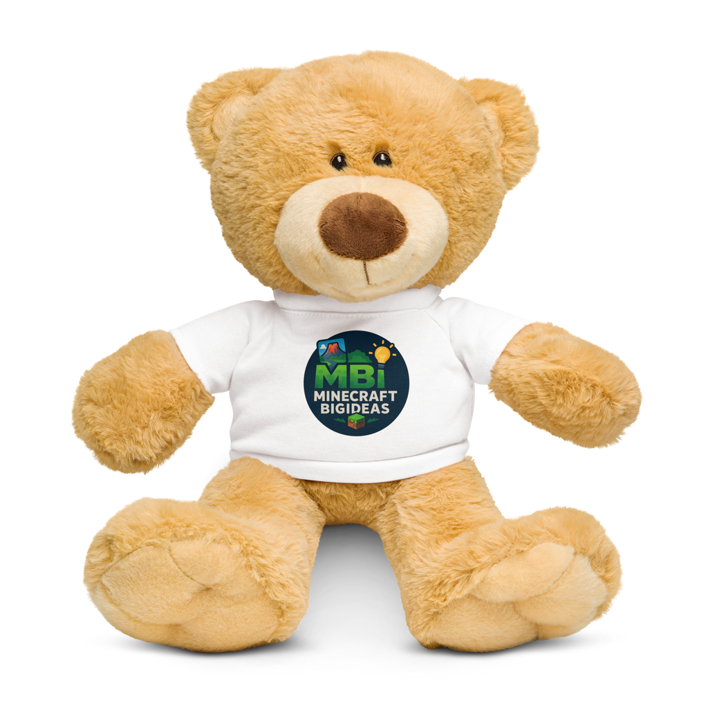 Teddy bear with a t-shirt