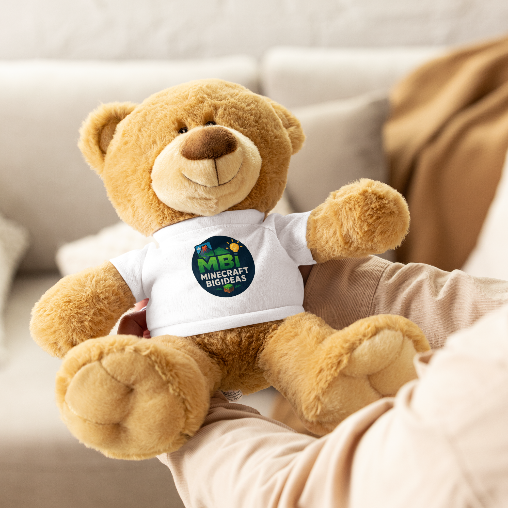 Teddy bear with a t-shirt