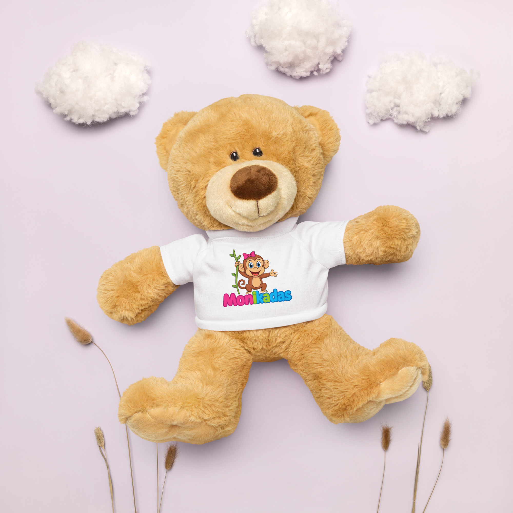 Teddy bear with a t-shirt