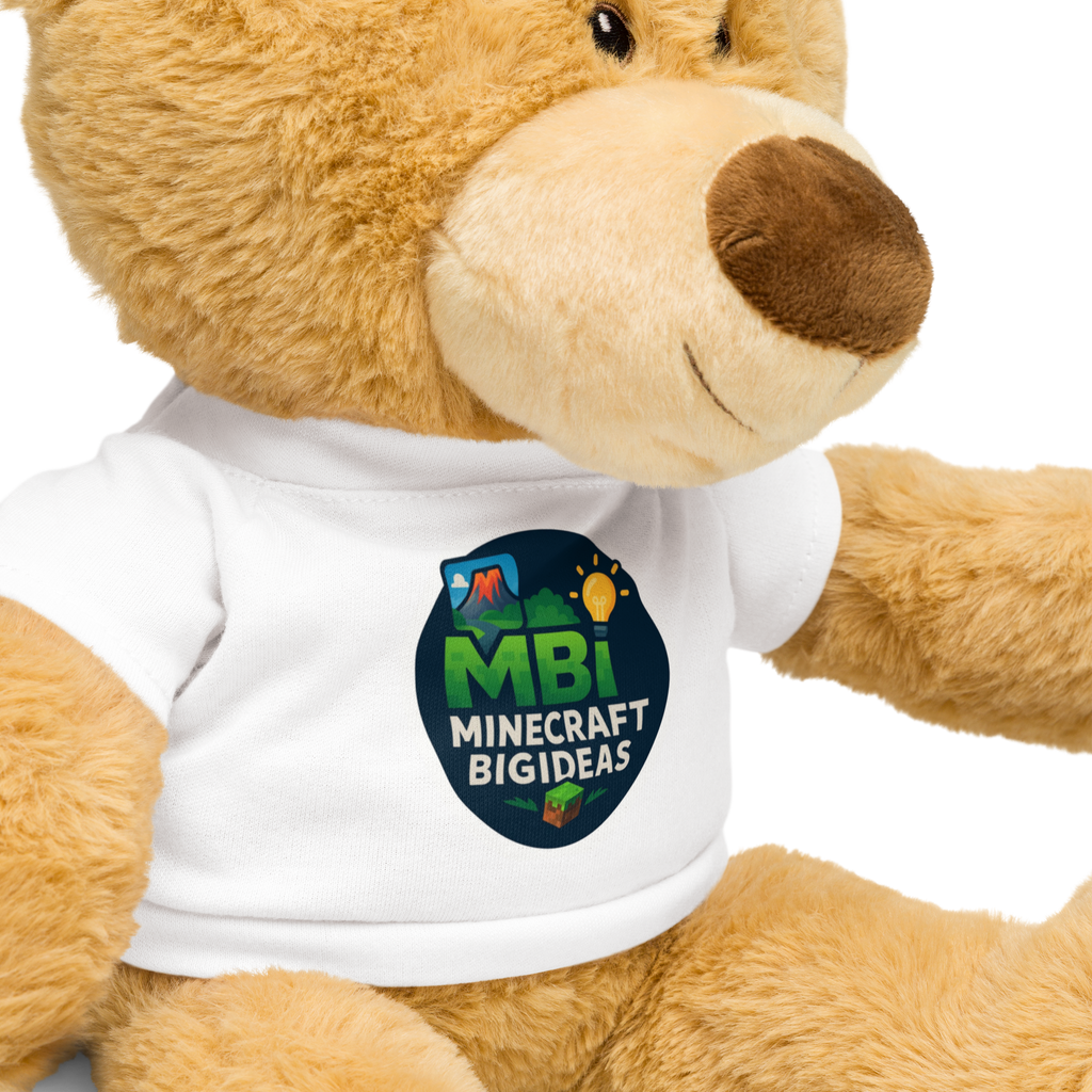 Teddy bear with a t-shirt