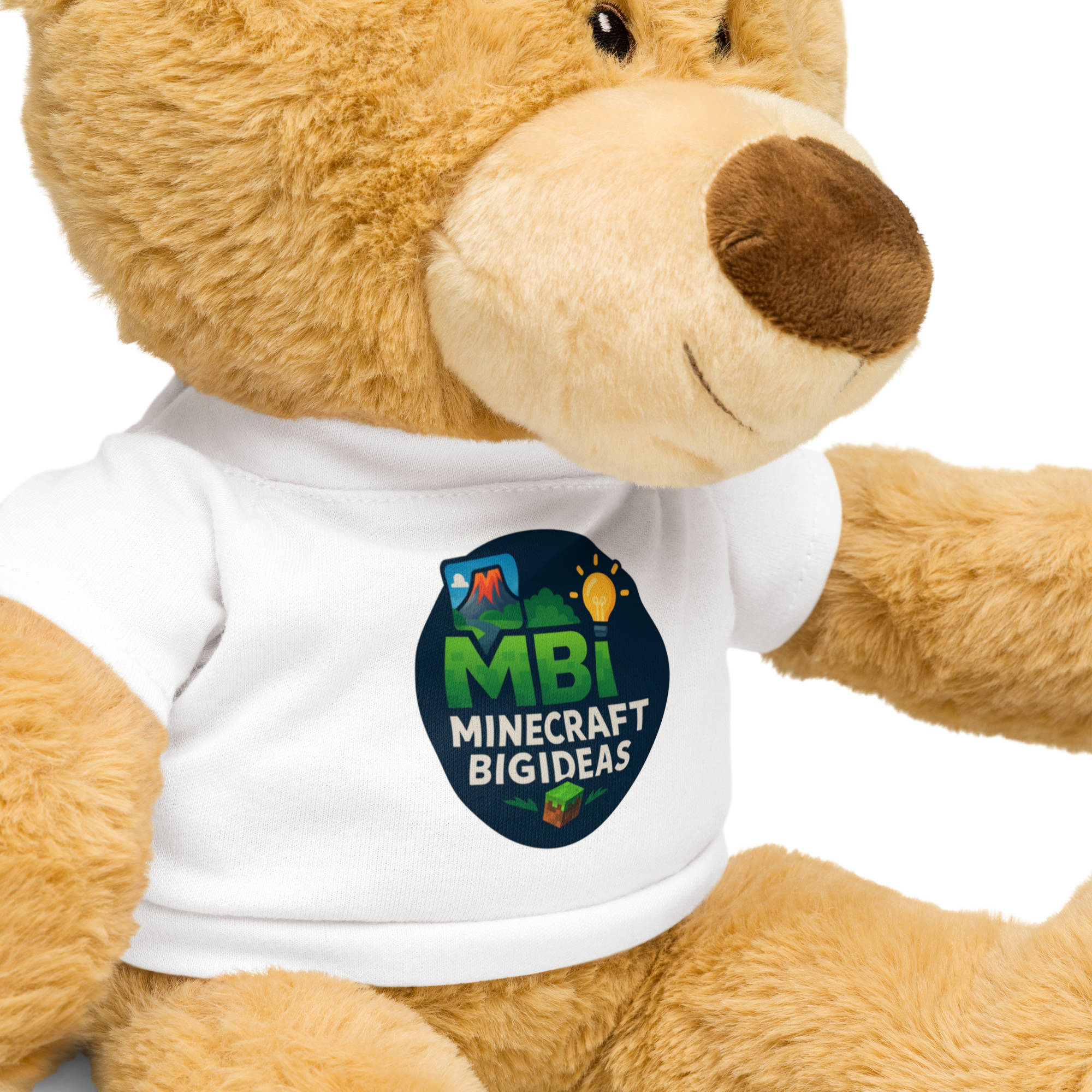 Teddy bear with a t-shirt