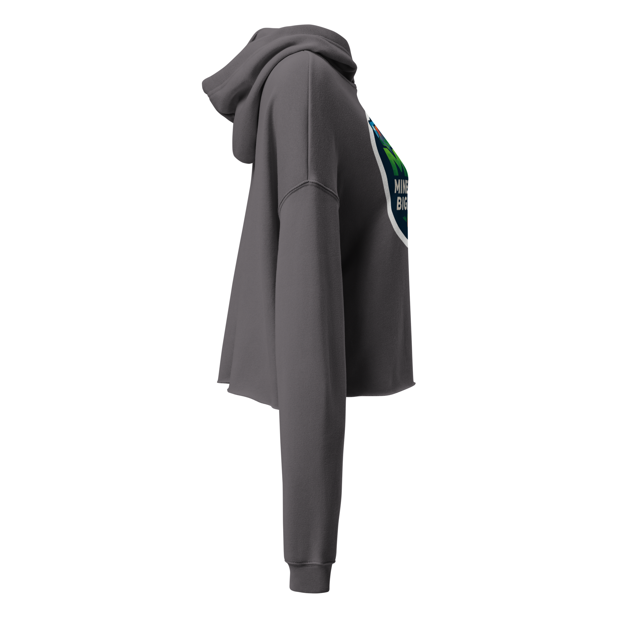 Crop Hoodie